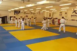 Mikami Judo Club_1